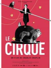 ecolecinecirque.jpg Thumbnail